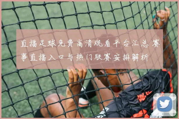 直播足球免费高清观看平台汇总 赛事直播入口与热门联赛安排解析