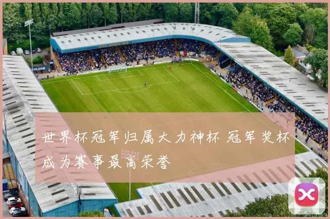 世界杯冠军归属大力神杯 冠军奖杯成为赛事最高荣誉